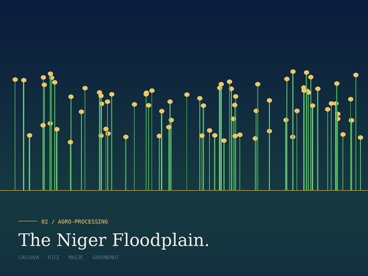 Agro-processing potential of the Niger floodplain